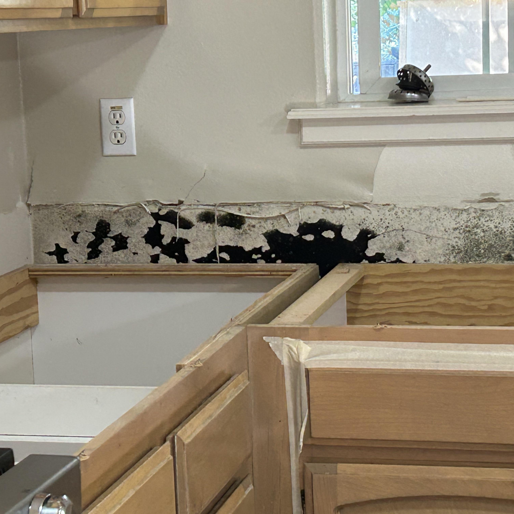 Kitchen mold under sink