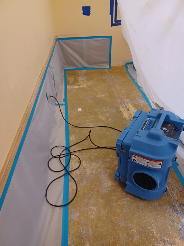 Inspection and Moisture Mapping