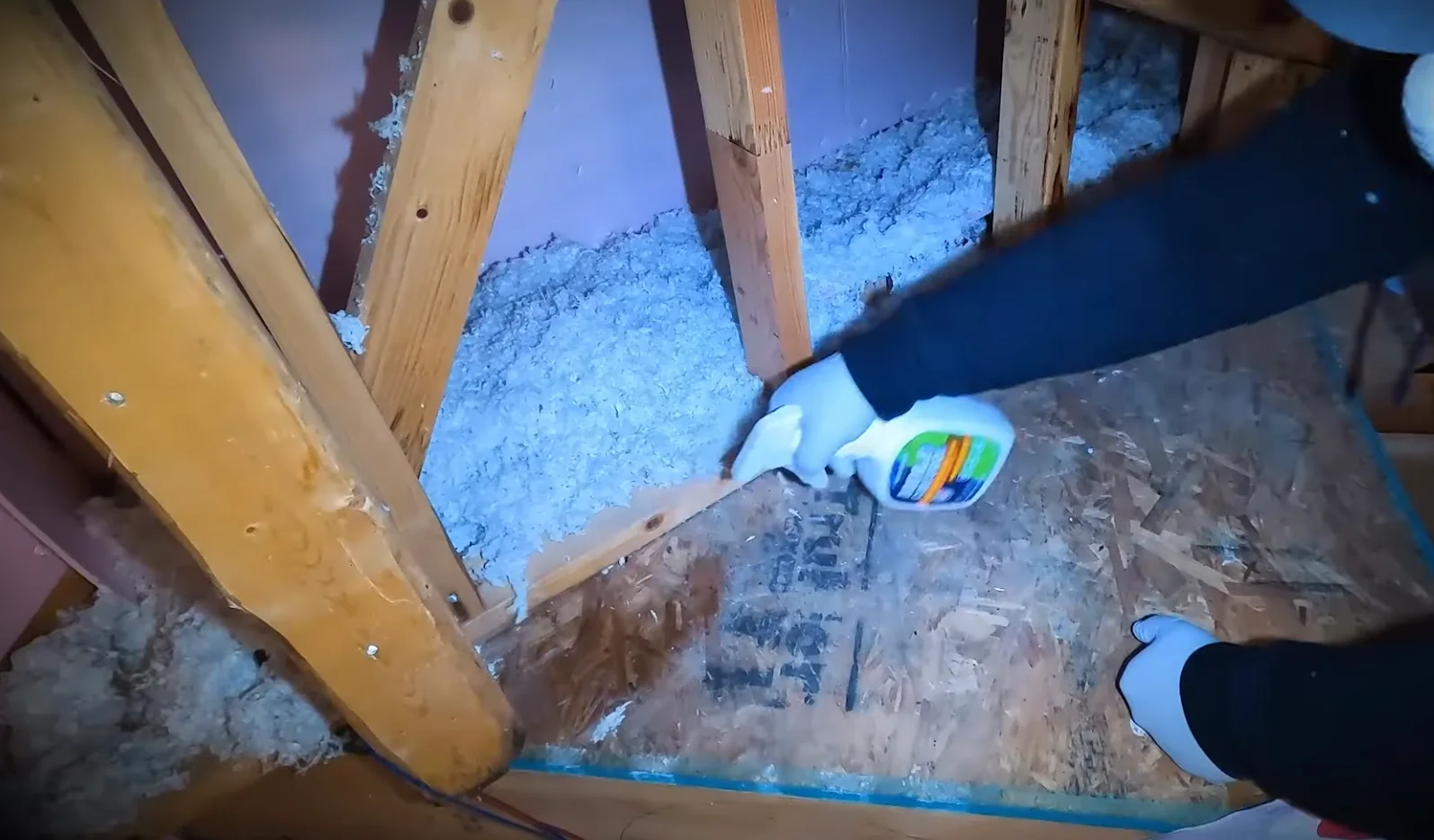 Who Pays For Mold Remediation?