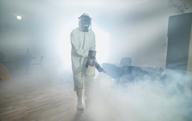 Does Fogging For Mold Actually Work?